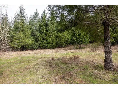 Kenady Lane Lot 401 Cottage Grove OR 97424