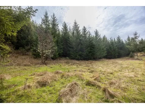 Kenady Lane Lot 401 Cottage Grove OR 97424