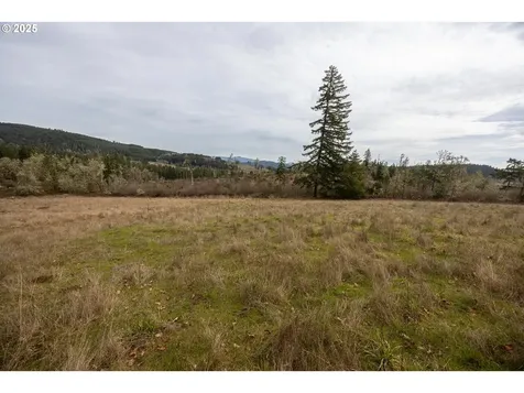 Kenady Lane Lot 401 Cottage Grove OR 97424