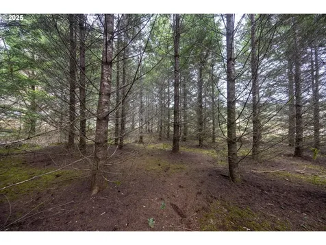 Kenady Lane Lot 401 Cottage Grove OR 97424