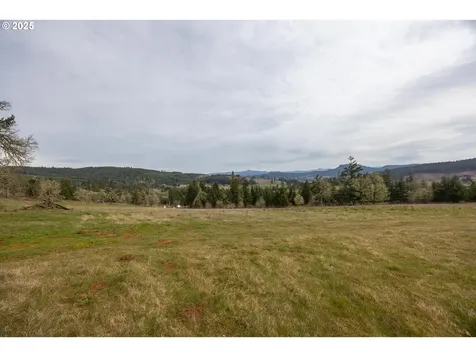 Kenady Lane Lot 401 Cottage Grove OR 97424