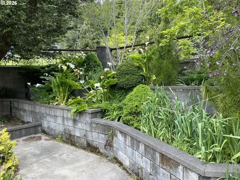 239 10th Street Port Orford OR 97465