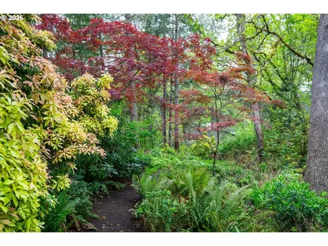3367 Videra Drive Eugene OR 97405