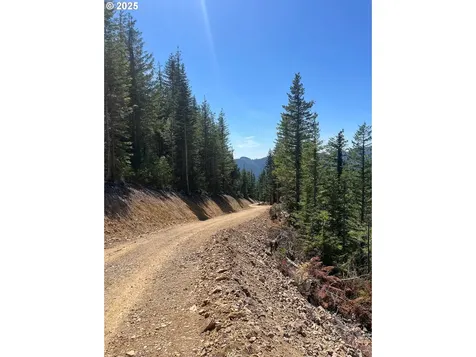 Skamania Mines Road Washougal WA 98671