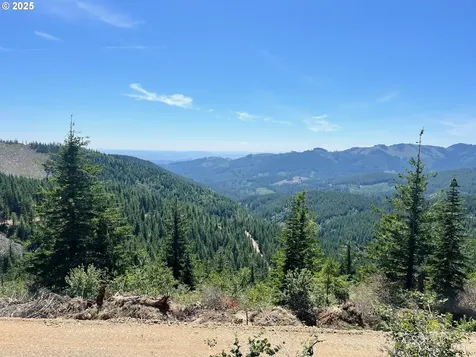 Skamania Mines Road Washougal WA 98671