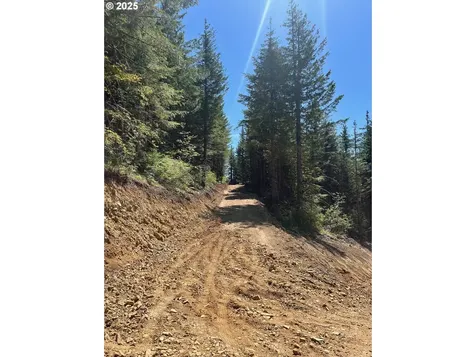 Skamania Mines Road Washougal WA 98671