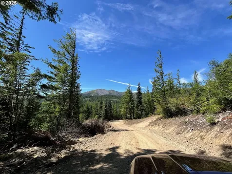 Skamania Mines Road Washougal WA 98671