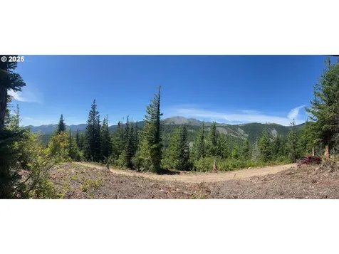 Skamania Mines Road Washougal WA 98671