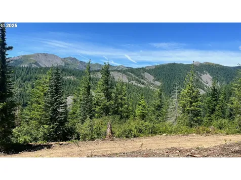Skamania Mines Road Washougal WA 98671