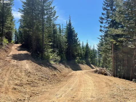 Skamania Mines Road Washougal WA 98671