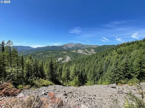 Skamania Mines Road Washougal WA 98671