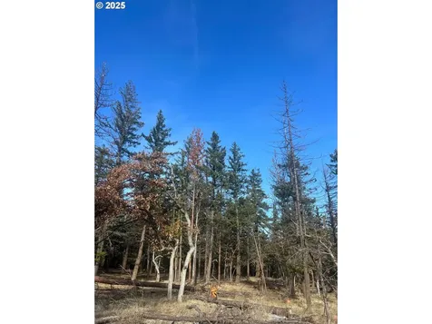 77386 Highway 216 Maupin OR 97037