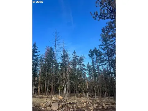 77386 Highway 216 Maupin OR 97037