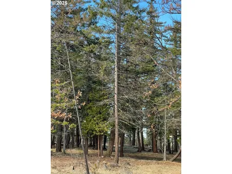 77386 Highway 216 Maupin OR 97037