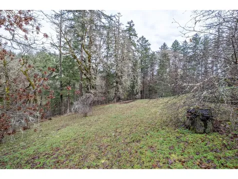 24671 Daisy Drive Philomath OR 97370
