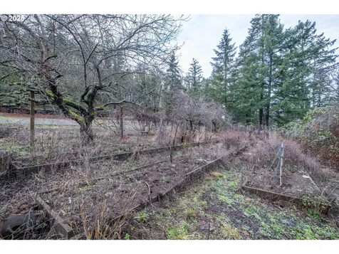 24671 Daisy Drive Philomath OR 97370