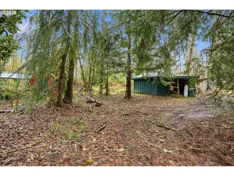 40408 NE Cedar Ridge Road Amboy WA 98601