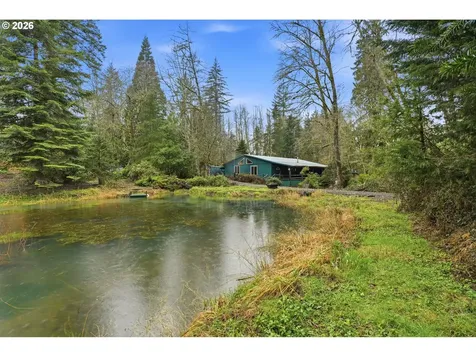 40408 NE Cedar Ridge Road Amboy WA 98601
