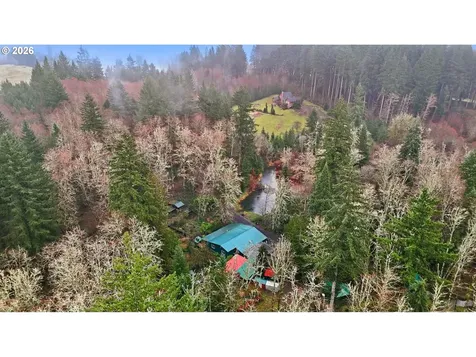 40408 NE Cedar Ridge Road Amboy WA 98601