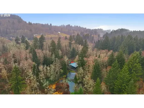 40408 NE Cedar Ridge Road Amboy WA 98601