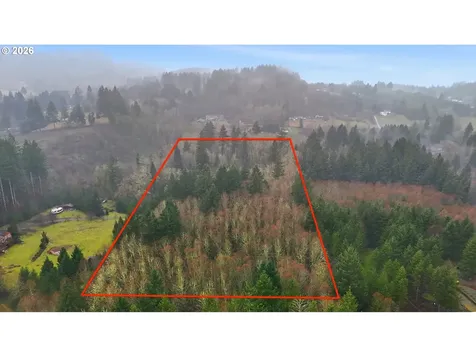 40408 NE Cedar Ridge Road Amboy WA 98601