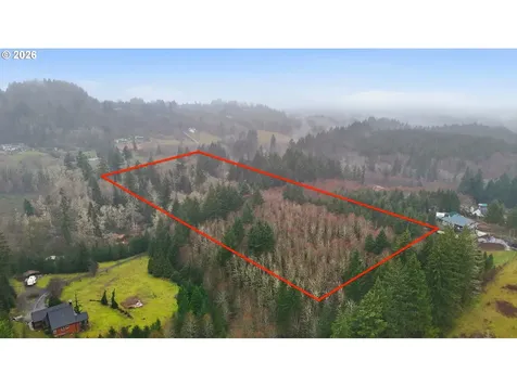 40408 NE Cedar Ridge Road Amboy WA 98601