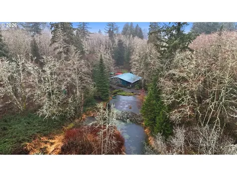 40408 NE Cedar Ridge Road Amboy WA 98601