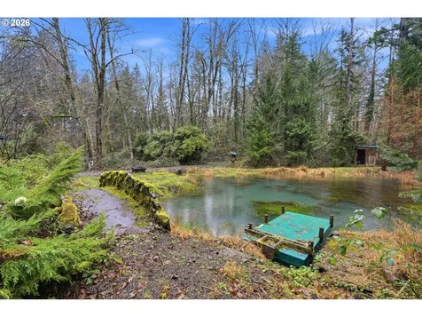 40408 NE Cedar Ridge Road Amboy WA 98601