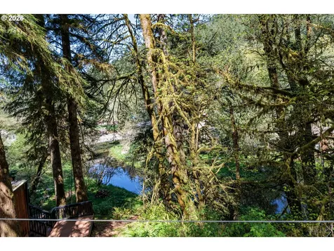 10265 Ridge View Terrace Birkenfeld OR 97016