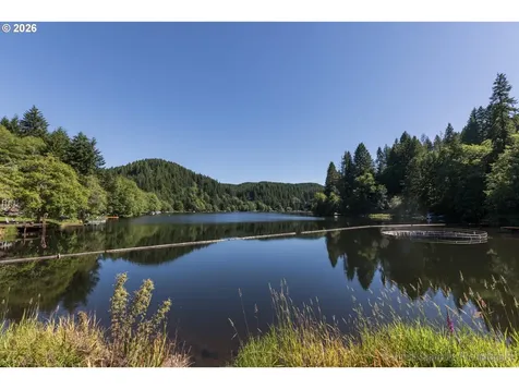 10265 Ridge View Terrace Birkenfeld OR 97016