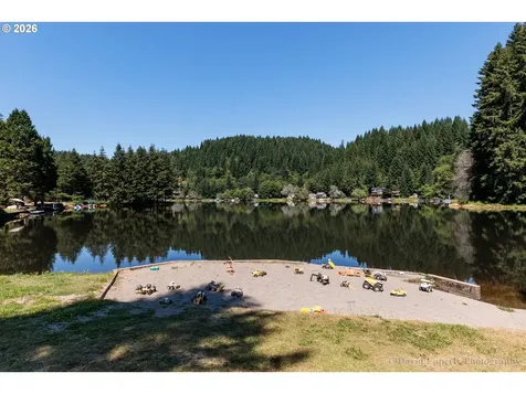 9958 Beach Drive Birkenfeld OR 97016