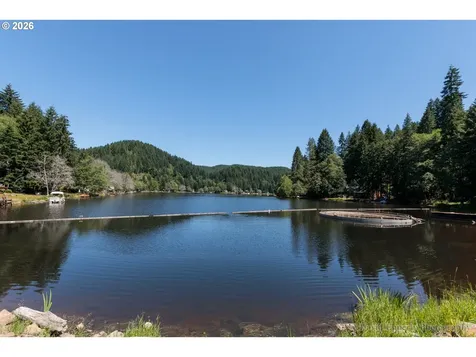 9958 Beach Drive Birkenfeld OR 97016