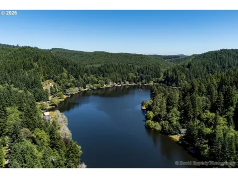 9958 Beach Drive Birkenfeld OR 97016