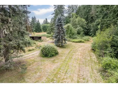 3208 Rose Valley Road Kelso WA 98626