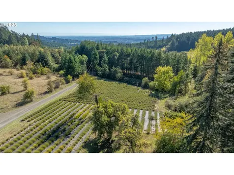 16800 NW Willis Road Mcminnville OR 97128