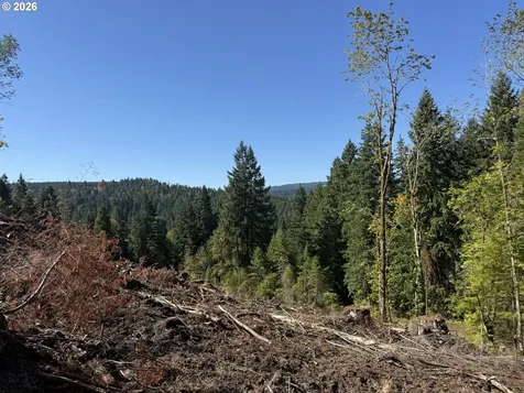 74861 Conifer Court Cottage Grove OR 97424