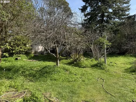 24 Hamlet Street Port Orford OR 97465
