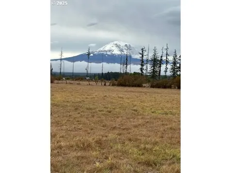 247 Troh Lane Glenwood WA 98619