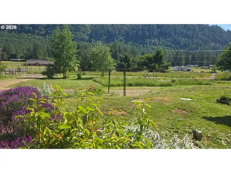 11616 Lewis River Road Ariel WA 98603