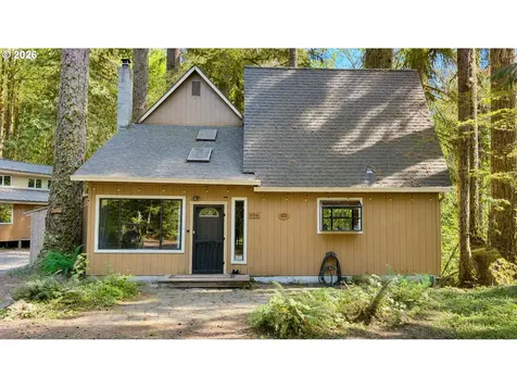 Cabin 196 Northwoods Cougar WA 98616