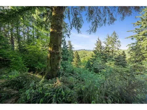 1470 NE Newport Heights Drive Newport OR 97365