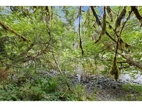 18485 S Winnifred Avenue Molalla OR 97038