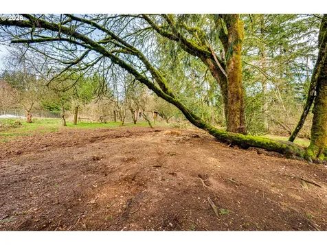 20811 NE Freedom Road Battle Ground WA 98604