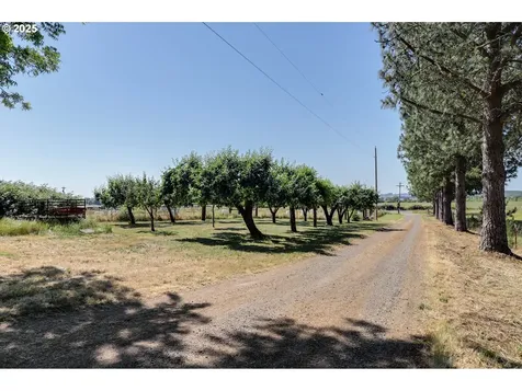 26685 Ferguson Road Junction City OR 97448