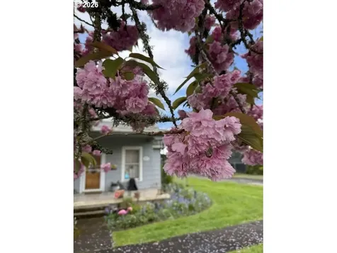 507 S 11th Avenue Cornelius OR 97113