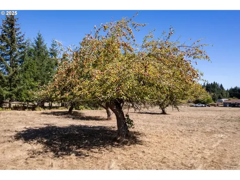 76521 Delena Mayger Road Rainier OR 97048