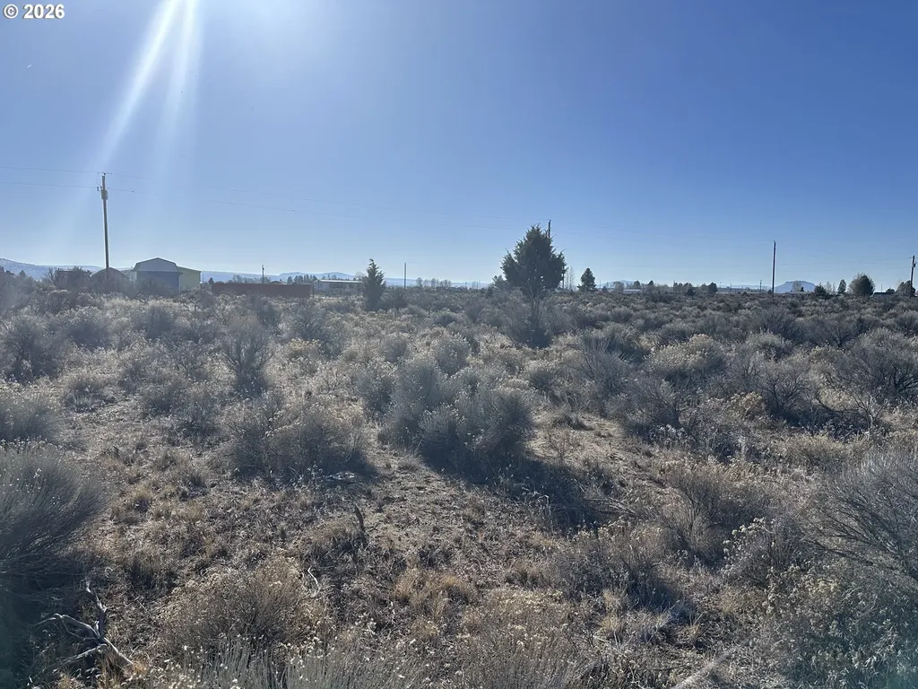 Wonderland Street Christmas Valley OR 97641