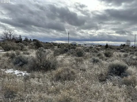 Wonderland Street Christmas Valley OR 97641