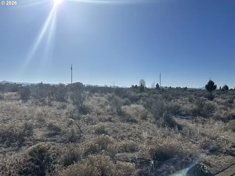 Wonderland Street Christmas Valley OR 97641