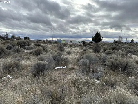 Wonderland Street Christmas Valley OR 97641